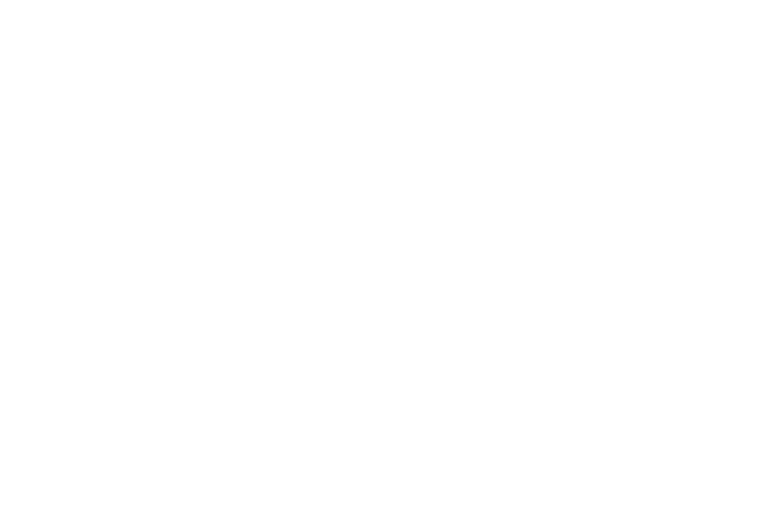 Logo TDV Blanco (1)
